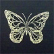 Butterfly in a Box Butterfly in a Box